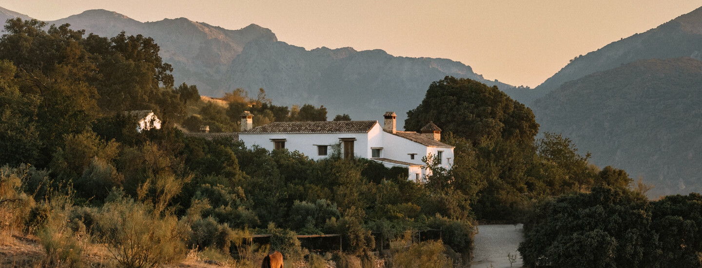 Finca La Donaira